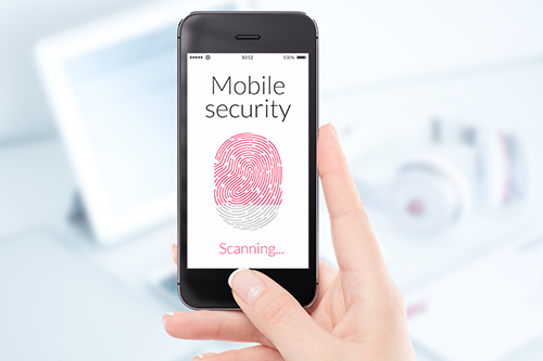 Passwords and Biometric Features for Digital/Electronic Devices
