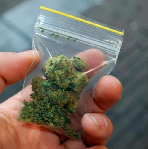 Searches of Vehicles for Marijuana
