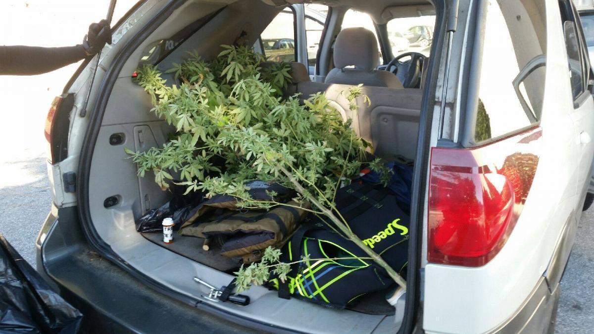 Vehicle Searches and the Odor of Marijuana
