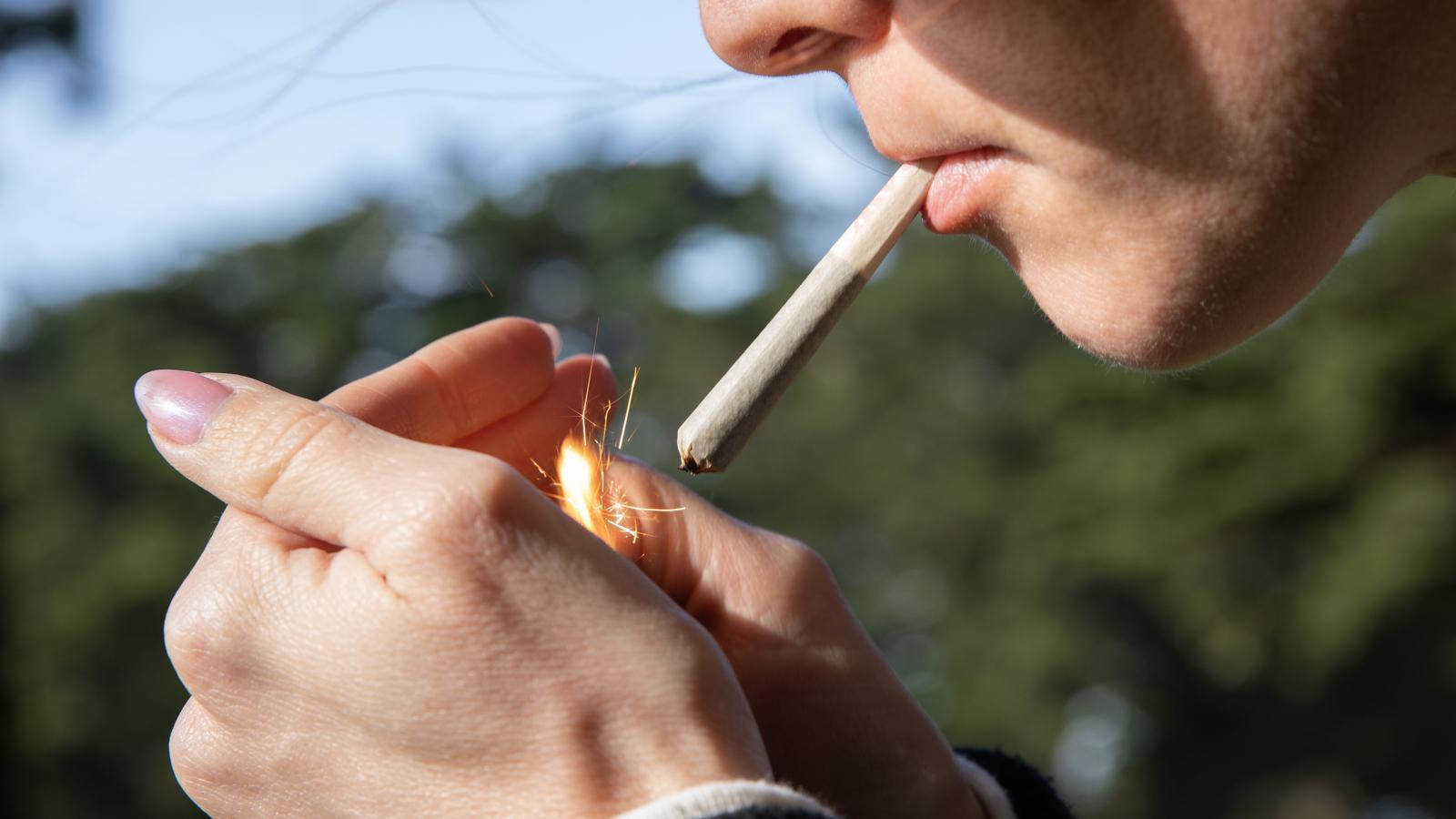 Medical and Recreational Cannabis: A Legal Update