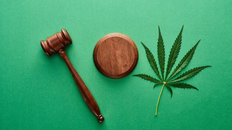 Marijuana, Proposition 215:  A Legal Update