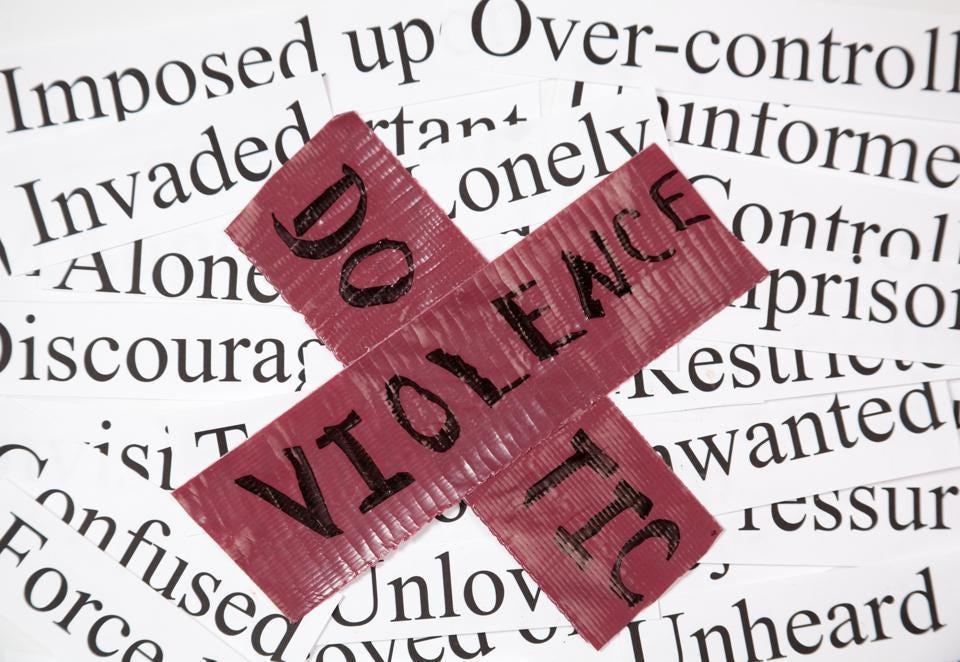 Everything You Ever Wanted to Know about Domestic Violence (And Maybe a Little More)