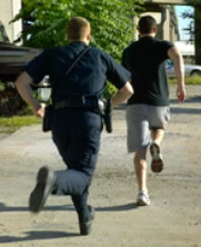 Fleeing by Car and Fleeing by Foot Are Two Separate Crimes