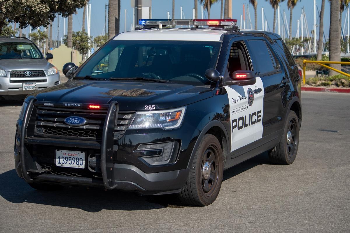 Use of Force in Subduing an Unruly Arrestee/  The Use of Force and Civil Liability: