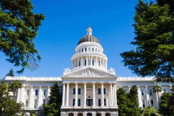 Recent Law Enforcement-Related Bills in the Legislature: Canines, Consent Searches and Pretext Stops
