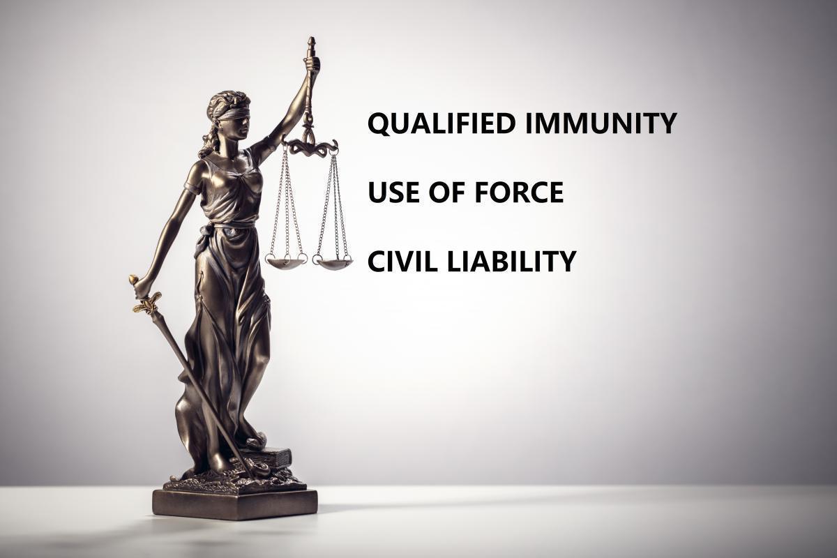 Deadly Force, Qualified Immunity and Civil Liability: We’re Not in California Anymore with This Case