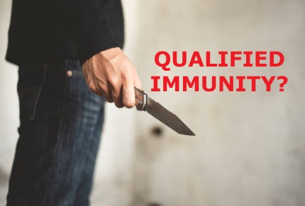 Ninth Circuit Rules Deadly Force Justified in the Fatal Shooting of a Knife-Wielding, Mentally Ill Man