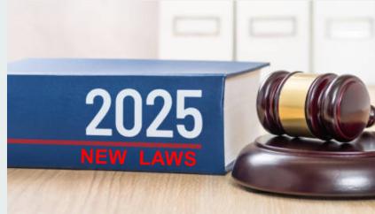 New & Amended Laws for 2025 – What You Need to Know: Exclusive Professional Subscribers’ Edition