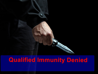 First of Two Force Decisions: Immunity Denied in Fatal Shooting of Man Holding Knife But Not Advancing