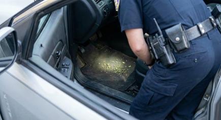 California Supreme Court Rules on Marijuana in Vehicles: No Probable Cause for Search Based on Debris and Nervous Behavior