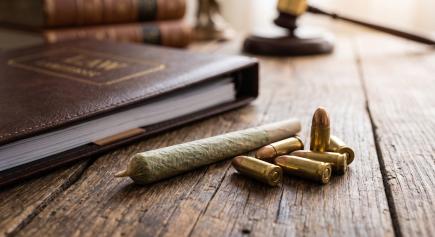 Second Amendment Update: Supreme Court Strikes Down Federal Gun Ban for Marijuana Users