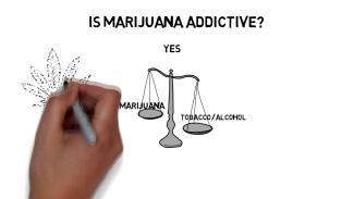 Is Marijuana Addictive?                                                                                                                                                                