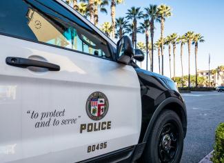 Qualified Immunity and the Use of Deadly Force                                                                                                                  