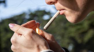 Medical and Recreational Cannabis: A Legal Update                                                                                                            