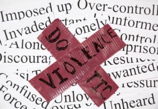 Everything You Ever Wanted to Know about Domestic Violence (And Maybe a Little More)                                      