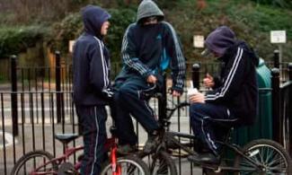 Gang Injunctions                                                                                                                                                                              