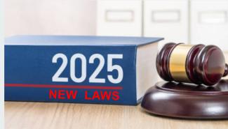New & Amended Laws for 2025 – What You Need to Know: Exclusive Professional Subscribers’ Edition      