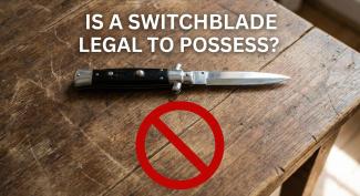 Is Possession of a Switchblade the Same as a Firearm in Relation to Second Amendment Protection? &nbsp; &nbsp; &nbsp; &nbsp; &nbsp; &nbsp; &nbsp; &nbsp; &nbsp; &nbsp; &nbsp;